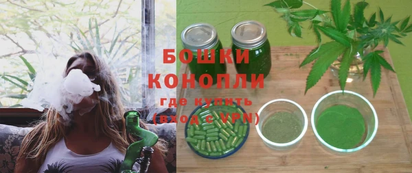 PSILOCYBIN Дмитров